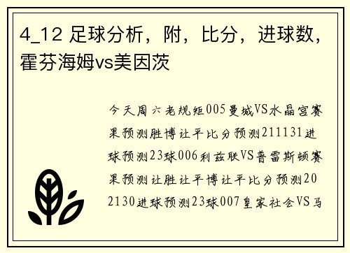 4_12 足球分析，附，比分，进球数，霍芬海姆vs美因茨